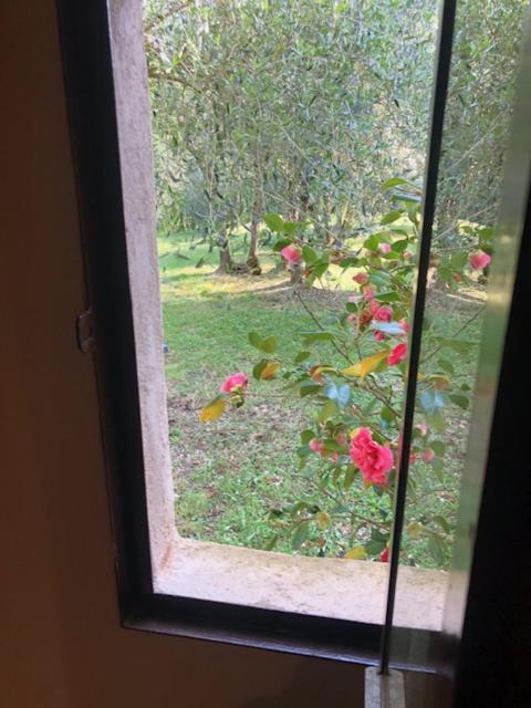 Agriturismo La Pieve Colle di Val d'Elsa Buitenkant foto