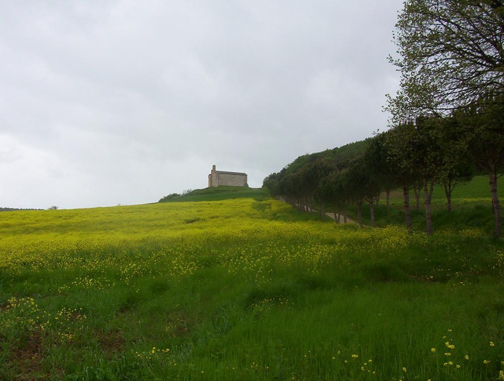 Agriturismo La Pieve Colle di Val d'Elsa Buitenkant foto