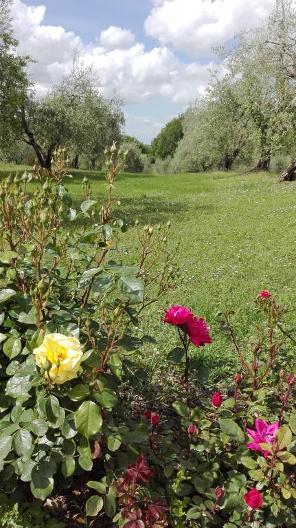 Agriturismo La Pieve Colle di Val d'Elsa Buitenkant foto
